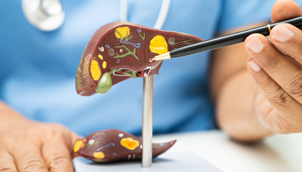 Dr. Rohit Sharma Objective